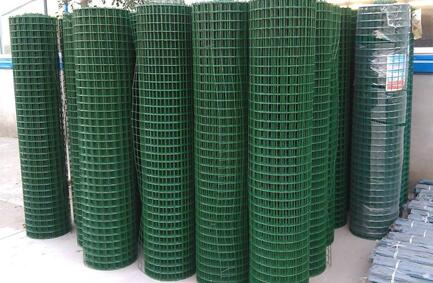 內(nèi)蒙古購買荷蘭網(wǎng)需要注意什么問題?