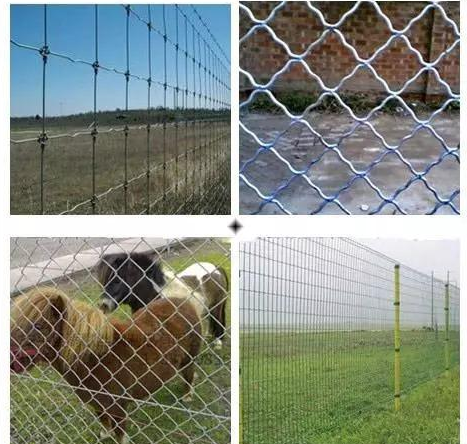 內(nèi)蒙古介紹一下養(yǎng)羊護(hù)欄網(wǎng)常用種類及特點(diǎn)