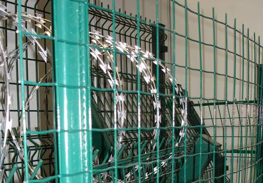 甘肅你知道荷蘭網(wǎng)的由來嗎？