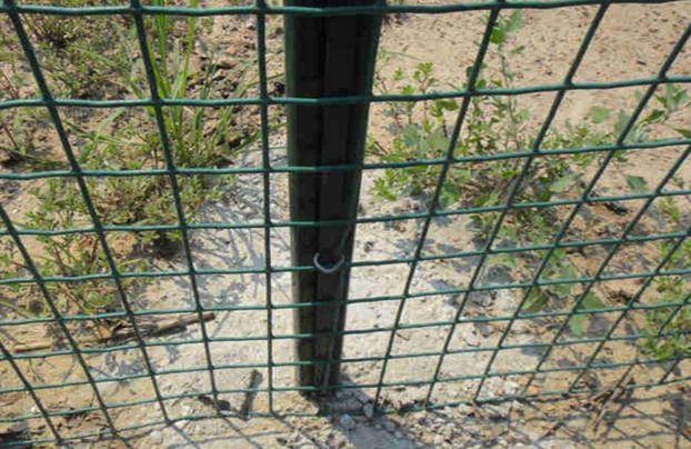 內(nèi)蒙古綠色鐵絲網(wǎng)：可以應(yīng)用在哪些領(lǐng)域？