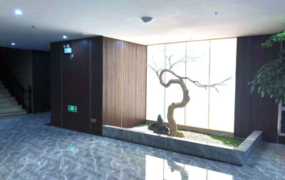 江西撫州水玲瓏會(huì)所裝飾案例