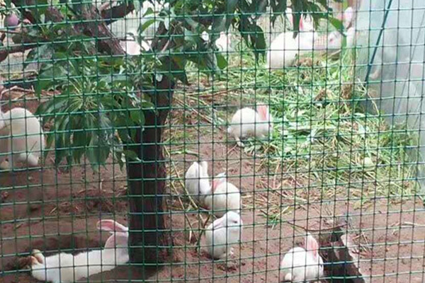 養(yǎng)殖護欄網