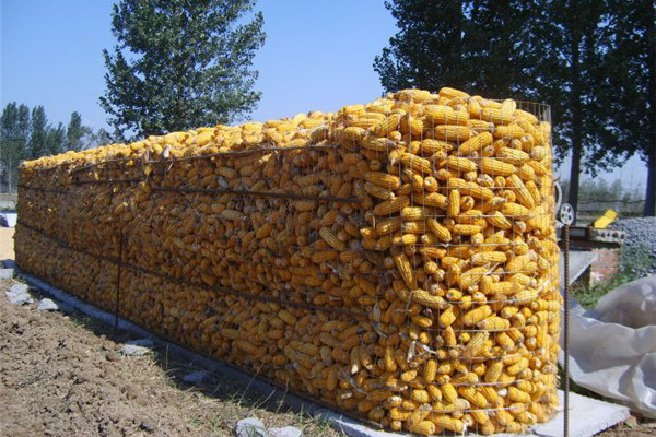 圈玉米電焊網(wǎng)