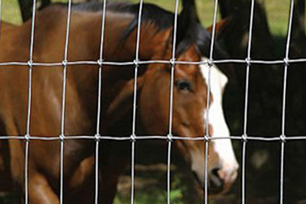 養(yǎng)殖護欄網