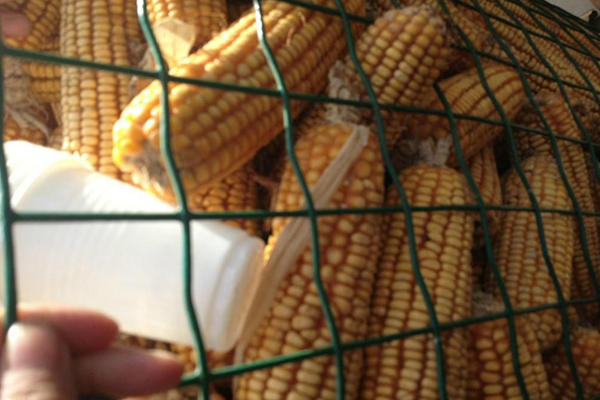 圈玉米網(wǎng)
